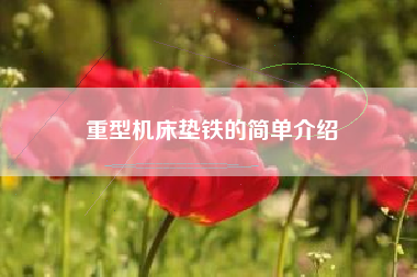 重型广东机床垫铁的简单介绍