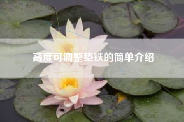 高度可广东调整垫铁的简单介绍