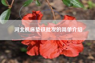 河北广东机床垫铁批发的简单介绍