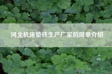 河北广东机床垫铁生产厂家的简单介绍