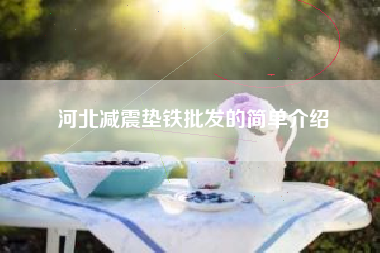 河北广东减震垫铁批发的简单介绍