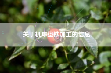 关于广东机床垫铁加工的信息