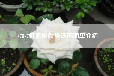 s78-7机床广东减震垫铁的简单介绍