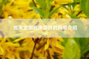 批发定做广东机床垫铁的简单介绍